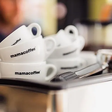 בית הארחה Cafe Havlicek קונטה הורה