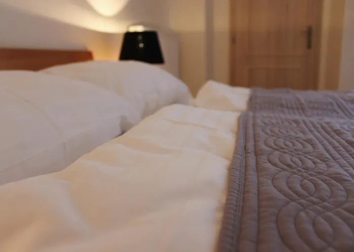 Cafe Havlicek Guest house 4*